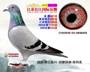 江苏长江决赛487名