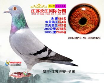 江苏长江决赛489名
