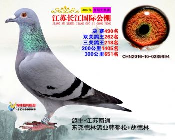 江苏长江决赛490名