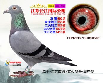 江苏长江决赛492名