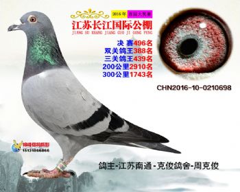 江苏长江决赛496名