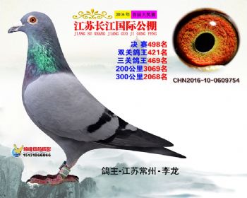 江苏长江决赛498名