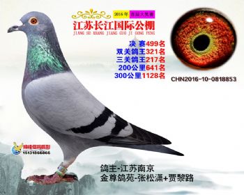 江苏长江决赛499名