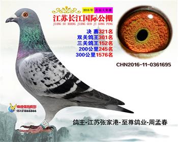 江苏长江决赛321名