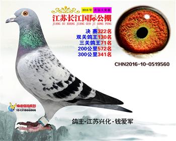 江苏长江决赛322名