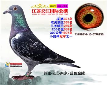 江苏长江决赛327名