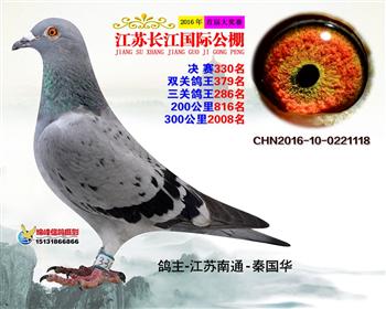 江苏长江决赛330名