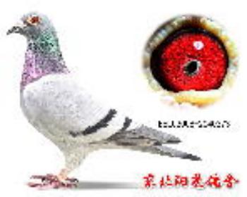 199曾孙