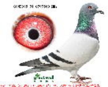 7.鲁道x利奥x奶酪.0999560