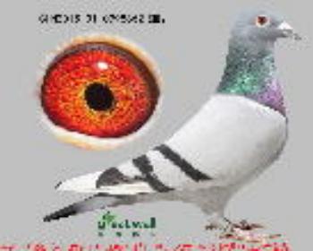 4.蒙拿直子.0998862