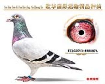 詹森艺术家