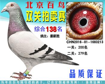 北京百鸟园赛鸽俱乐部2017年第十届双关拍卖