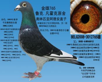 镇棚种雄