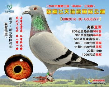 新疆飞天决赛亚军