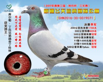 新疆飞天决赛季军