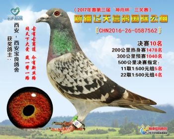 新疆飞天决赛10名