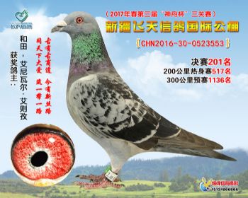新疆飞天决赛201名