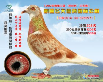新疆飞天决赛203名