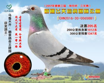 新疆飞天决赛205名