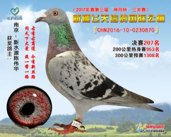 新疆飞天决赛207名