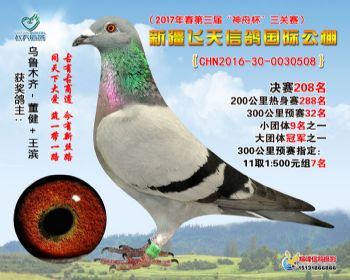 新疆飞天决赛208名