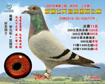 新疆飞天决赛11名