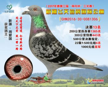 新疆飞天决赛13名