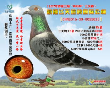 新疆飞天决赛15名