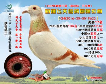 新疆飞天决赛17名
