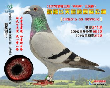 新疆飞天决赛211名