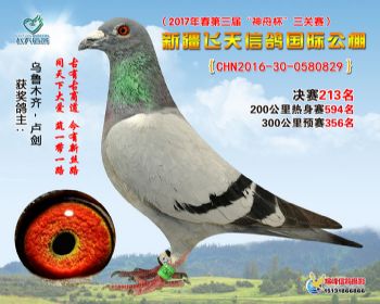 新疆飞天决赛213名