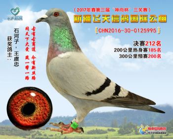 新疆飞天决赛212名