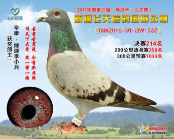 新疆飞天决赛214名