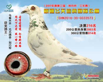 新疆飞天决赛216名