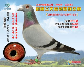 新疆飞天决赛219名
