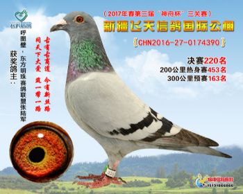 新疆飞天决赛220名
