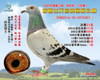新疆飞天决赛21名