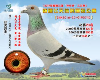 新疆飞天决赛23名