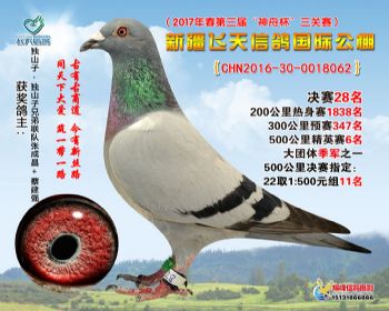 新疆飞天决赛28名