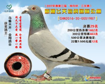 新疆飞天决赛29名