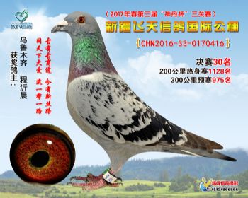 新疆飞天决赛30名