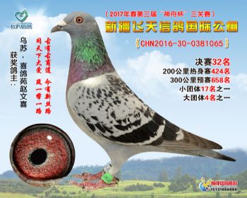 新疆飞天决赛32名