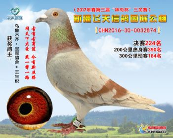 新疆飞天决赛224名