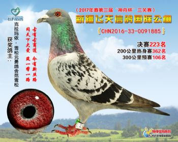 新疆飞天决赛223名