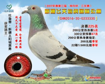 新疆飞天决赛225名