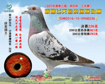 新疆飞天决赛226名
