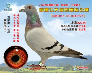 新疆飞天决赛227名