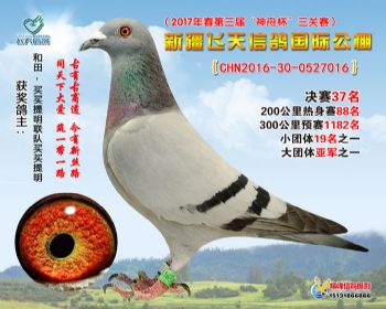新疆飞天决赛37名