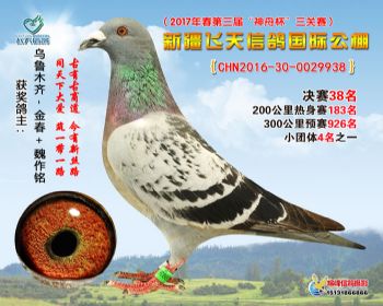 新疆飞天决赛38名