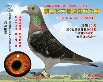 新疆飞天决赛40名